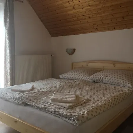 公寓 Apartman Balazs Hévíz